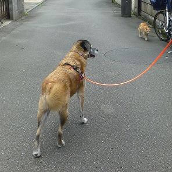 E35f0c3f e819 4f6e 8888 53bc97d826fd