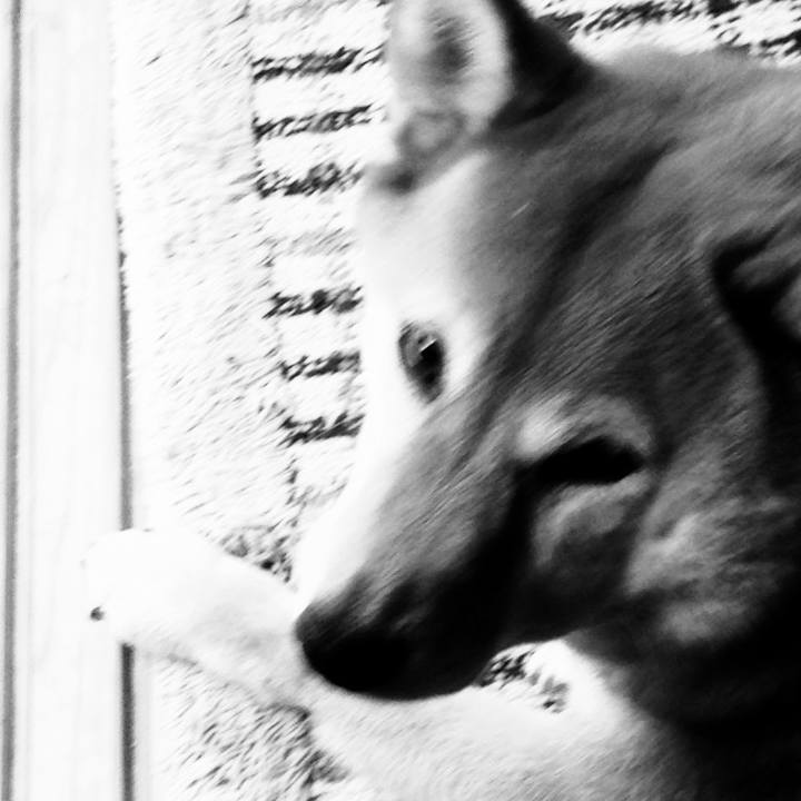 E35fcae0 e652 4e71 b132 7374a1252991