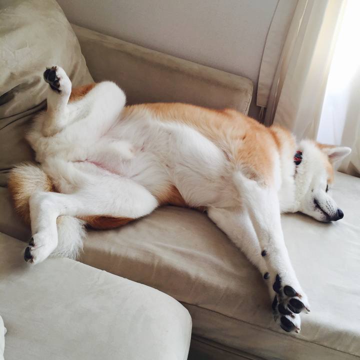 E35fd019 6128 4f70 9c63 095951716b03