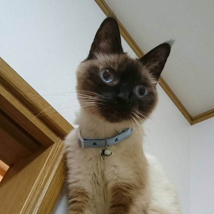 E360567a 2e66 4343 bd13 527812547347