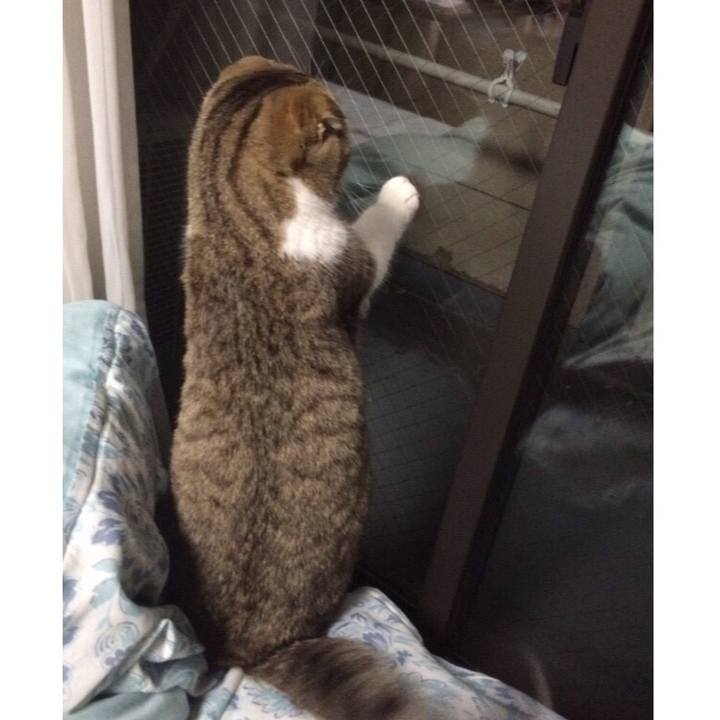 E3607b71 3cfc 4145 8eae 004888e722e9