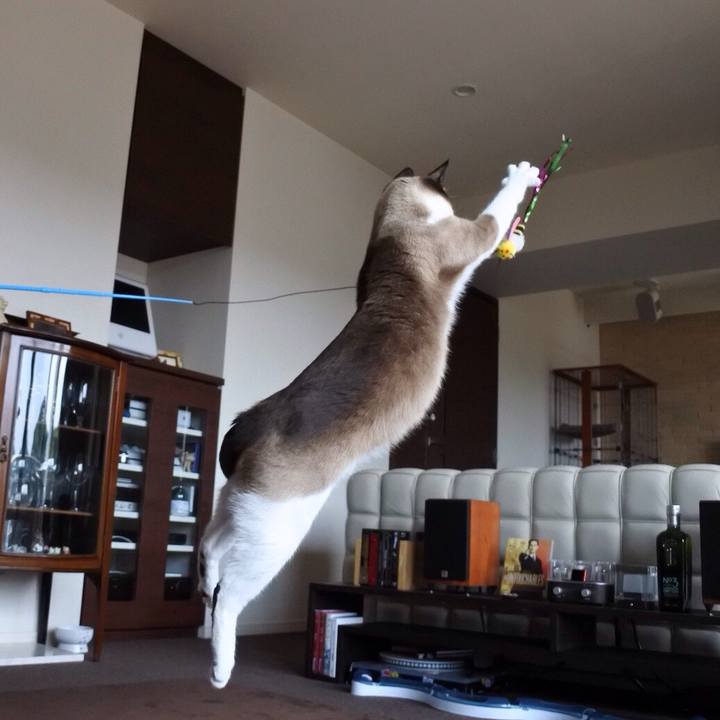 E3608f08 ecff 4b58 92a5 52f6b9f37820