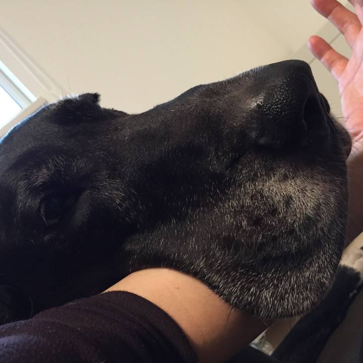 E3610029 b978 452f b214 0622389f3207