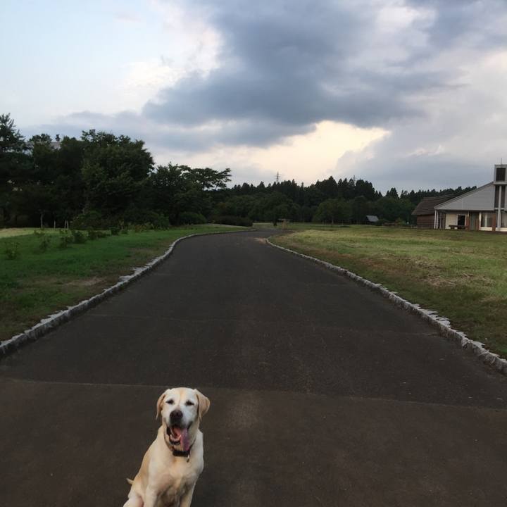 E3610bd2 d8a3 46ba 9c8f cd11b788c3c3