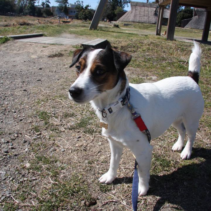 E3617c10 0287 46d7 94ba d92029490a23