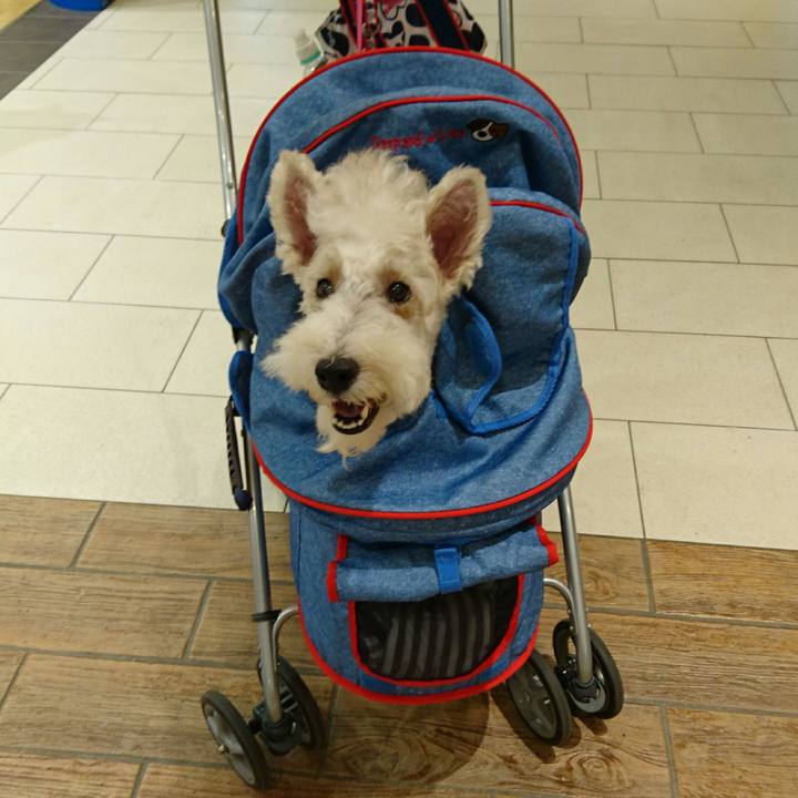 E3618fb1 0ccf 4933 9fdc ef7bb34c0679