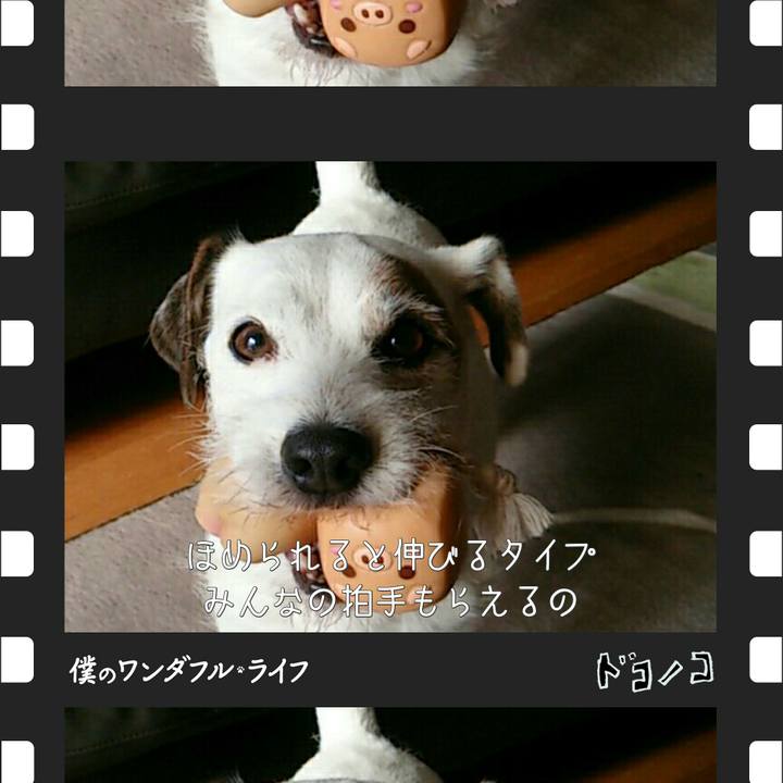 E361b823 4528 499f 97d6 36782d57486e