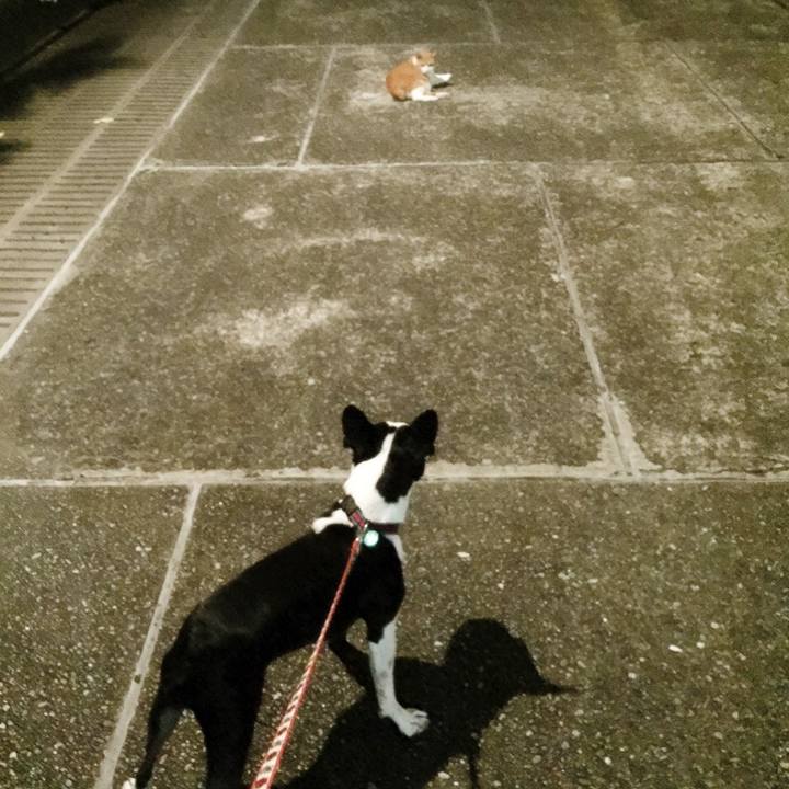 E361cb85 a4f4 489d 9978 688491802e54