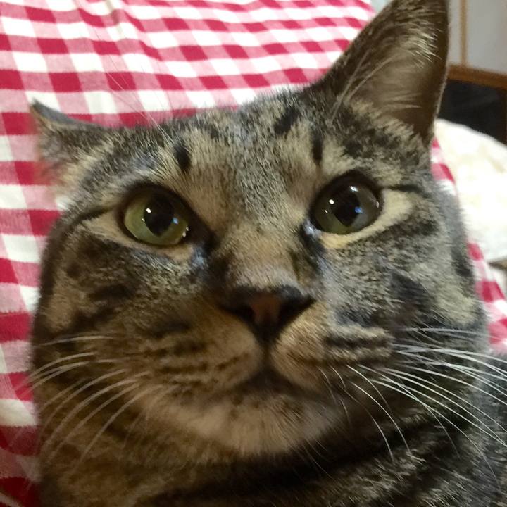 E361cfa5 1cea 46d0 a50d 9abe3b000575