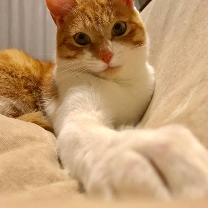 E362554d 091a 4111 af4d 683bb5b233ee