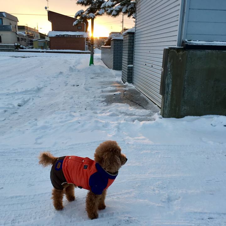 E3631697 e0b2 49a7 bb4d 065e8670f84a