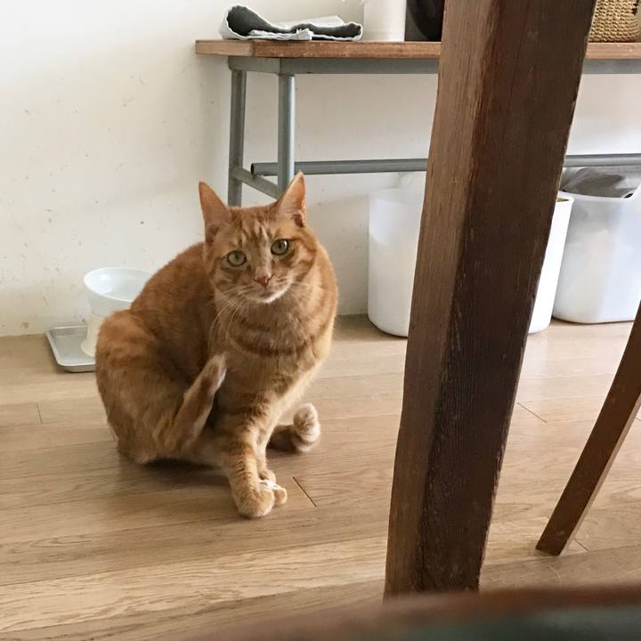 E363b9d2 f641 4af7 98b8 3752edb09972