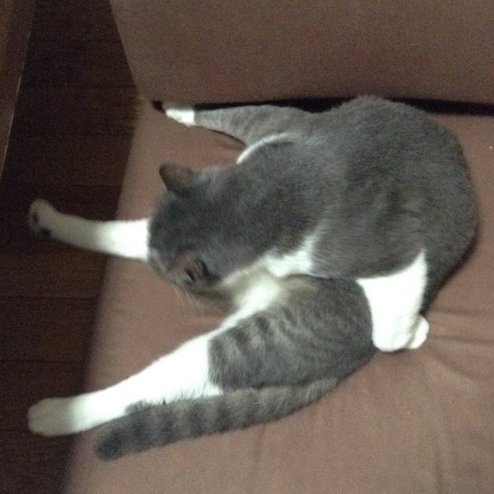 E364536e f838 4ec5 9983 5bca865f1888