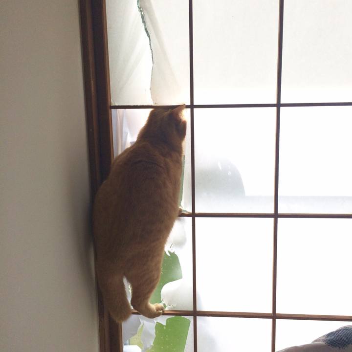 E364ac10 d2bf 41d9 b51a 283b42ddfb1f