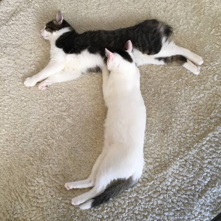 E3654a00 1e4a 47b5 a3f0 7af817c9d328