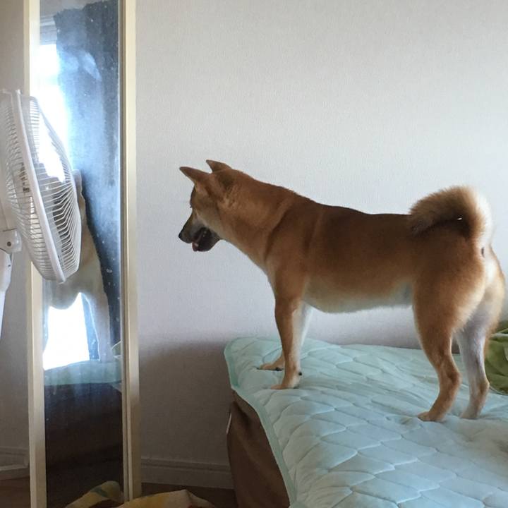 E3655ea2 23fc 42f7 832d b73f798491ee