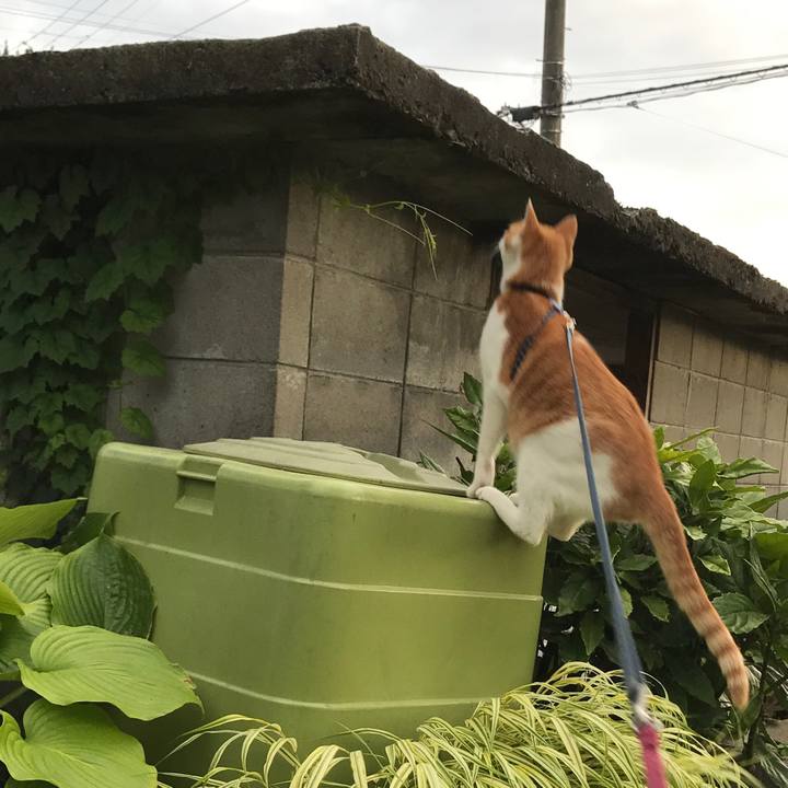 E3656e75 b13a 41a0 b4c4 3638d33711ae