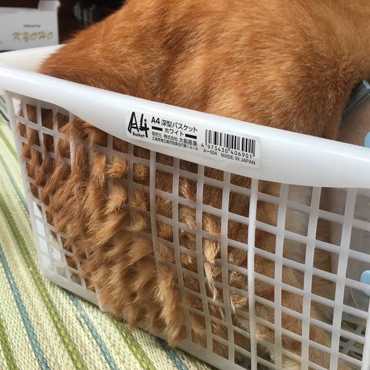 E365e58c f680 4b06 9ba6 281e61accc0b