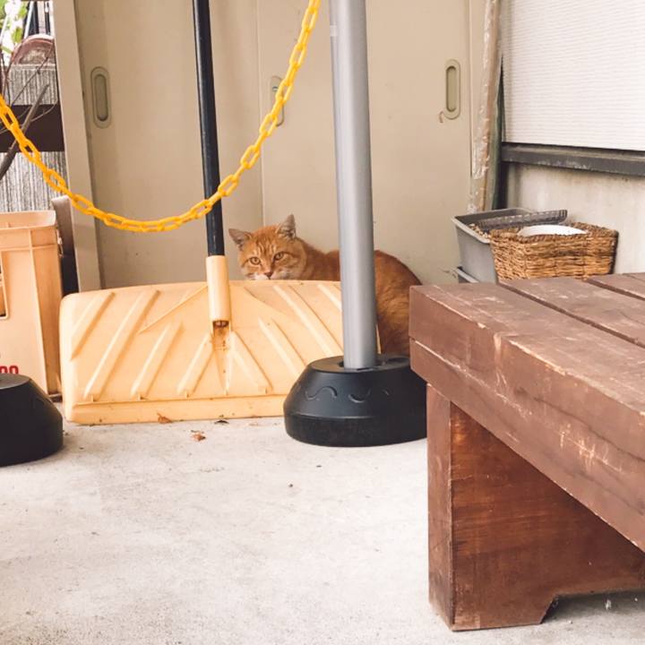 E365efde dfe6 464a 9f29 196f72133595