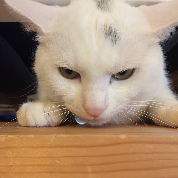 E365f174 6633 4551 a638 b45cfe21a556