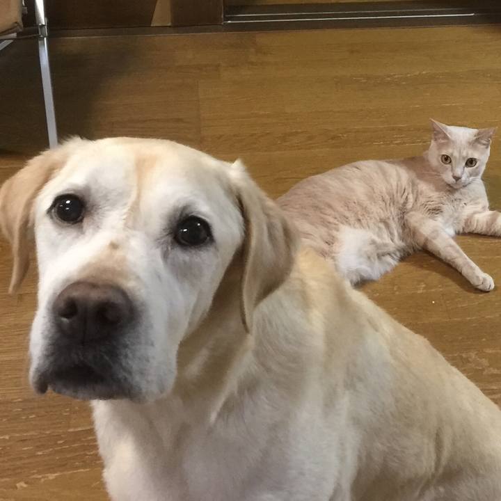 E365fc9f 2b68 4a4c 9358 2fad7c90df29