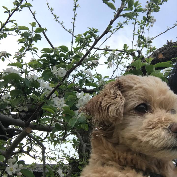 E36669b5 7681 4cdd bc8f 7505650f00b0