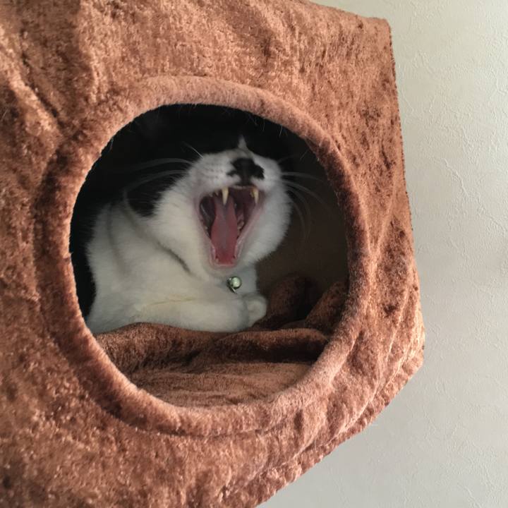 E3668807 27c0 4102 b67d ebcc534ca11a