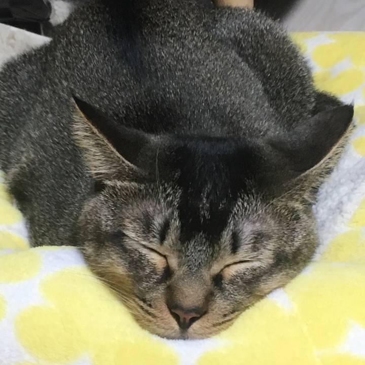 E366d1b9 6bcd 471c bceb 1355e36eb181