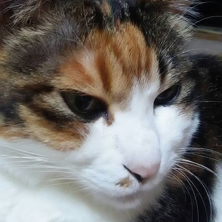 E366f7ca fe47 4b96 99c4 7ae0d5d21d6e