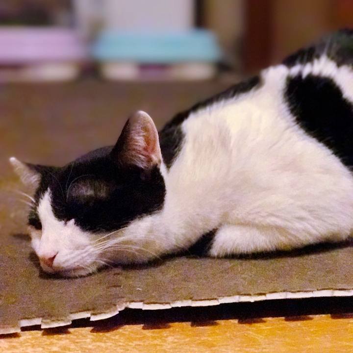 E366ff4a c027 4408 9418 8be7cb102d02