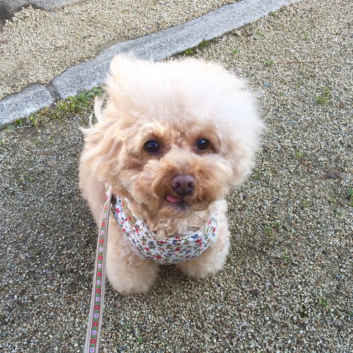 E3670214 88bf 4d5c b38b 633a7993e64a