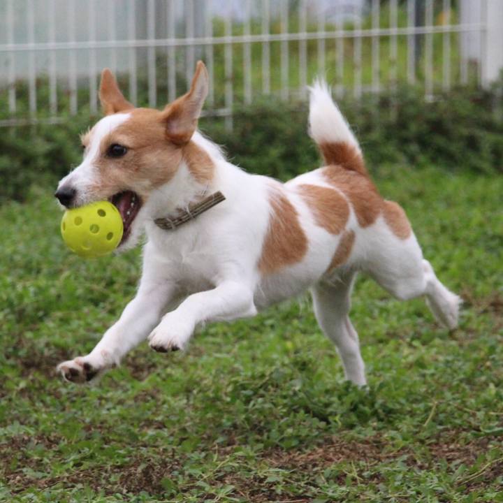 E3673038 7ffa 46b8 a275 c260b863fbc4