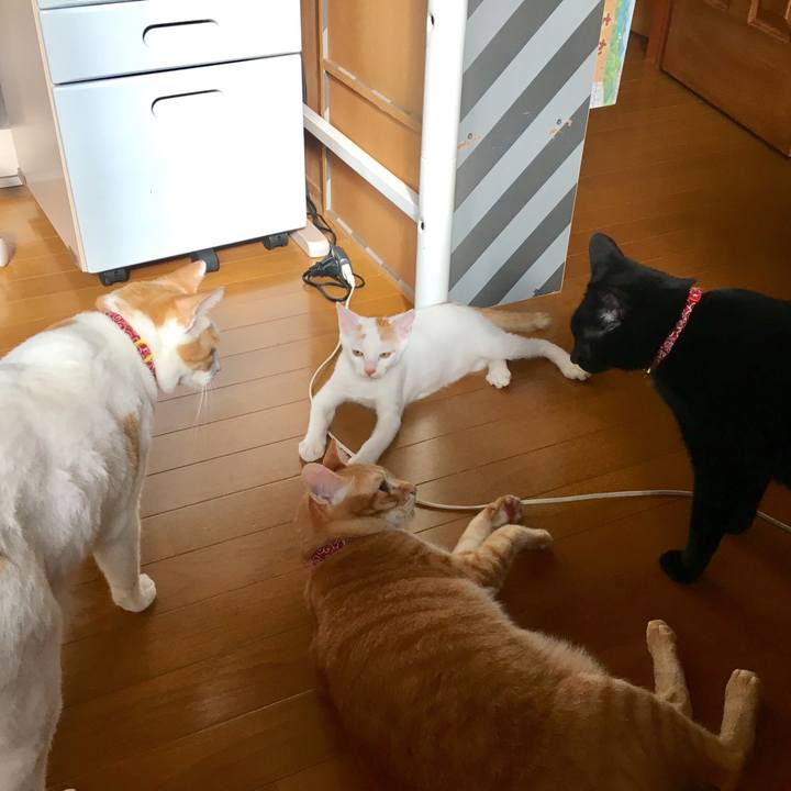 E367343b 0430 4ba6 8c62 8afefd9963bf