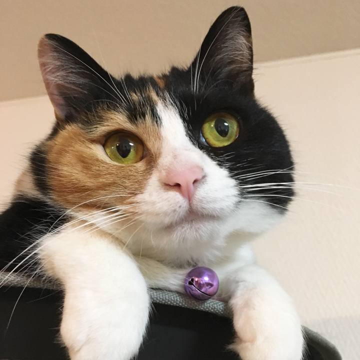 E367426b f484 498c af71 8b474a49c804