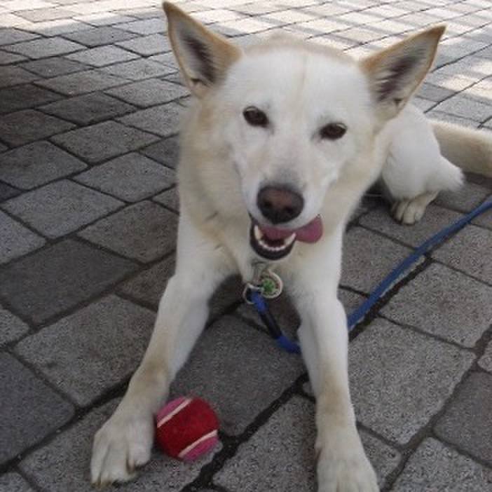 E3680fc6 6acb 45f0 97ac 41de38d431ad