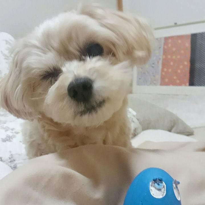 E3684f72 b73d 4a7f 8378 cdcf50418367