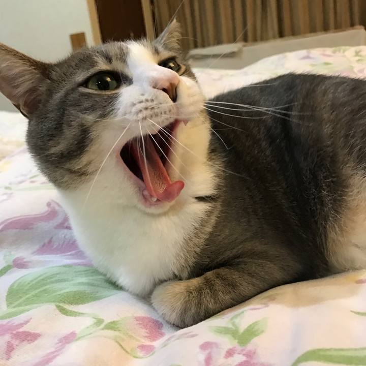 E3685ca0 a648 4049 8c03 f49690b2b4bd