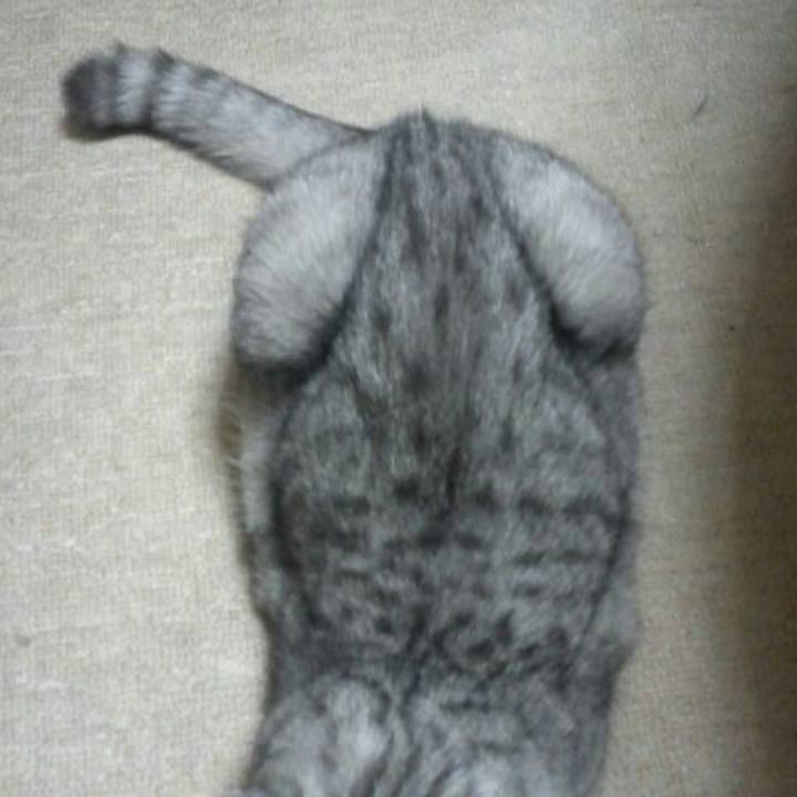 E368ed2c 0a01 4da5 8838 dce5f4f8bd52