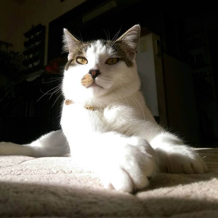 E369c05b 637d 4b62 976a a34022db9858