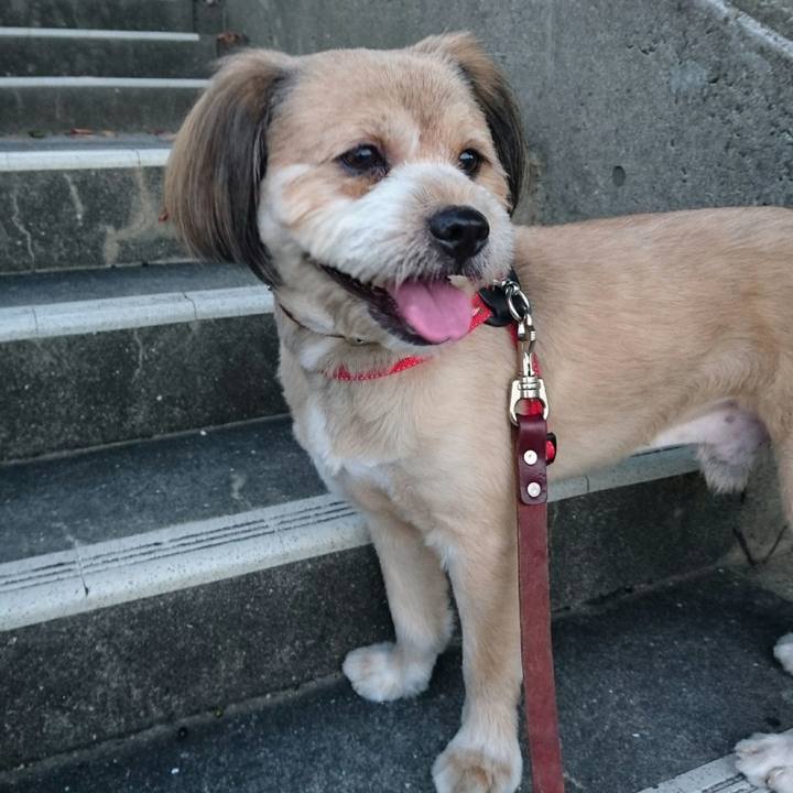 E369f098 29d2 4e97 a902 4ed7f30b7b2d