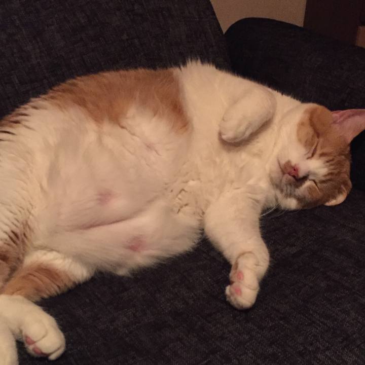 E369fec5 6edf 46ab 826d 3bebe340b9c0