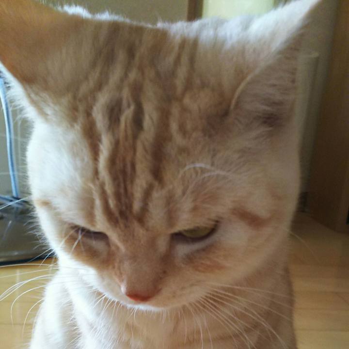 E36aa182 36e0 4b61 bfd2 39344a508e83