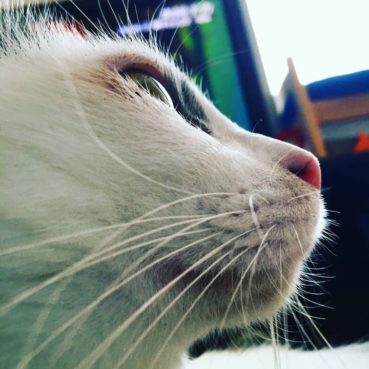 E36ba46e 1df2 4fb5 b22e 8ff48f3a3c62