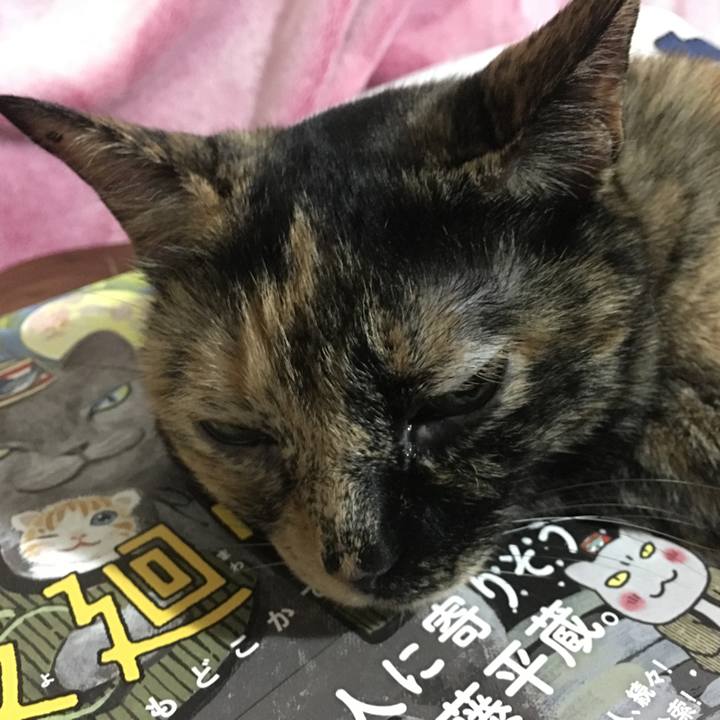 E36bfa2a 17f0 4f8d 83d6 a000eaedd15c