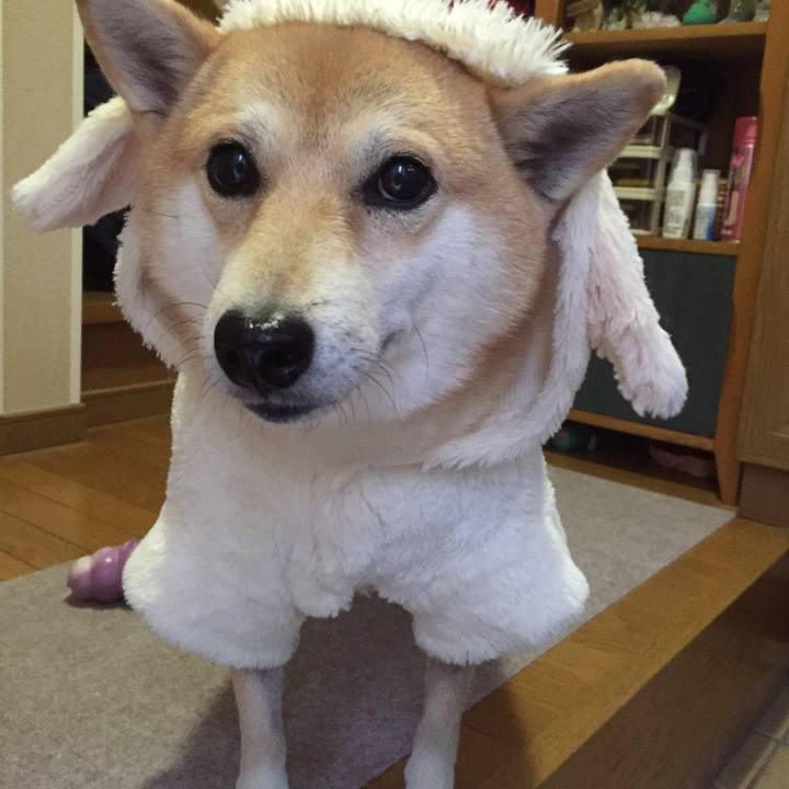 E36c28a0 a4dc 41da a12a 5940805e9c03