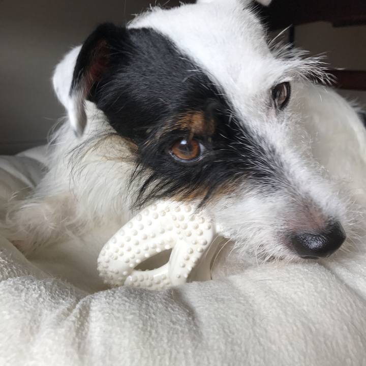 E36cb421 3a64 4aaa a3da 91c940a463b1