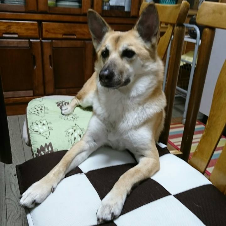 E36d311b 9d45 4eb9 87a3 79b3ea414bc1