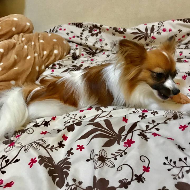 E36d95a9 c178 43de af27 268eb5000573