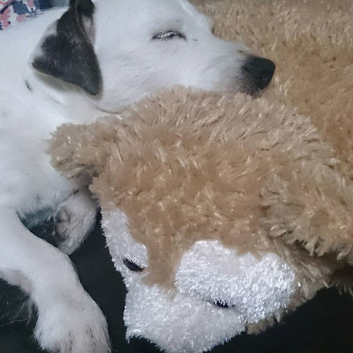 E36dc5e3 6676 468c 8062 3b94e4821fd6