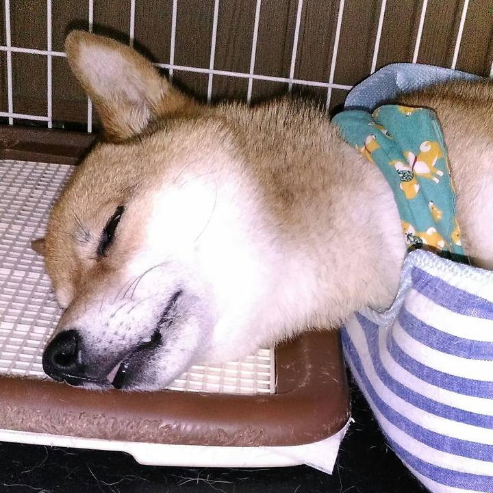 E36fa5e2 203a 4501 8dcb 66f5c7b0799c